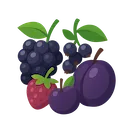 Black Plum