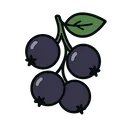 Blackcurrant