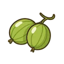 Gooseberry