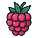 Raspberry